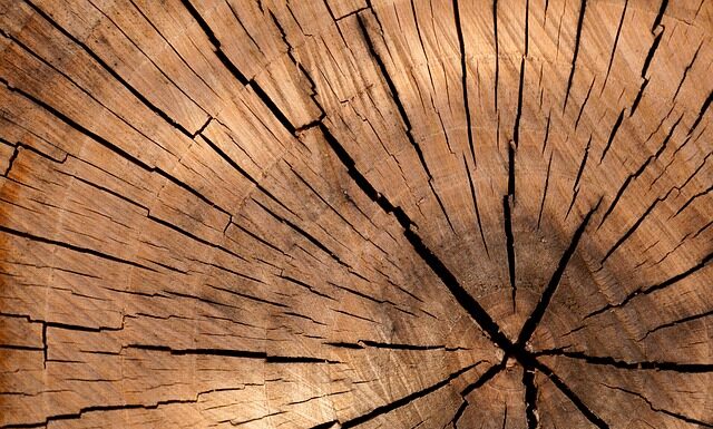 Ile kosztuje 1 metr sześcienny drewna?